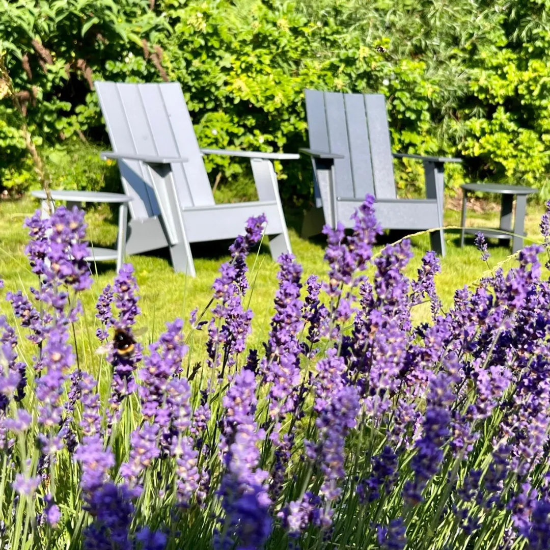 beSeaside LOLL DESIGNS Premium Adirondack Chair Kunststoff Premium Mecklenburg Vorpommern Kunde1